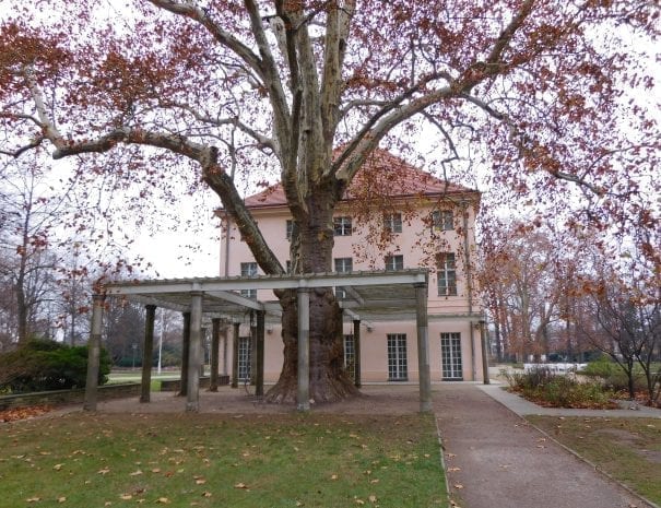 Schloss Schönhausen_Gartenseite